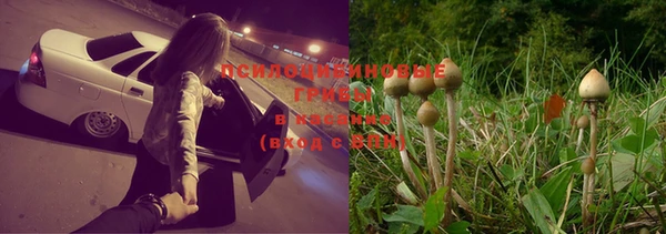 кокс Осинники